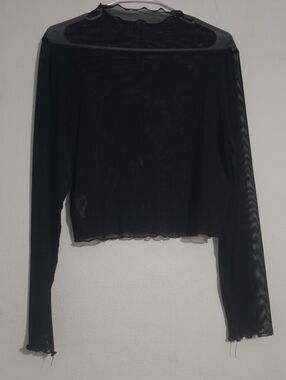 SHEIN Black Sheer Long Sleeve Crop Top